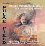 Pulse Field: "The Everchanging Present"
